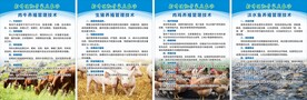 养殖技术