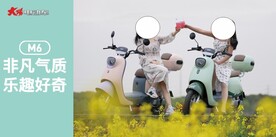 大阳电动车 