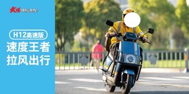 大阳电动车 
