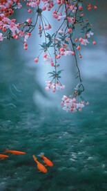 唯美意境图片
