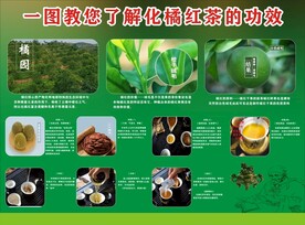 一图教您了解化橘红茶的功效