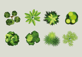俯视绿植矢量