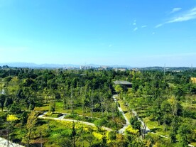 俯瞰城市公园