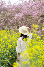 踏青赏花