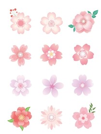 樱花