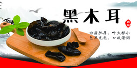 黑木耳
