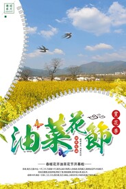 油菜花