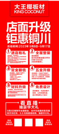 大王椰展架 