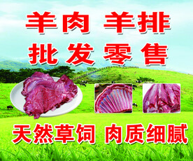 羊肉  羊排