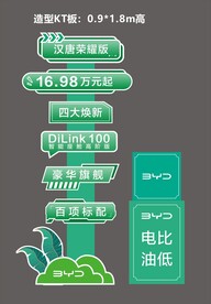 氛围布置  绿色春天