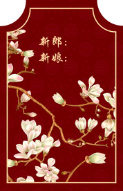 结婚订婚背景