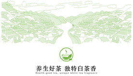 茶叶设计