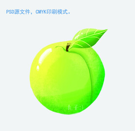 青梅插画