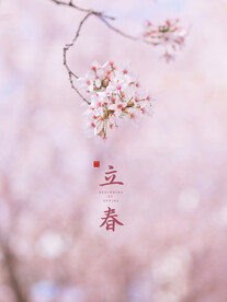 立春节气海报