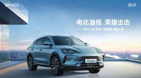 比亚迪宋plus dmi