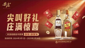 尖庄主画面无规则