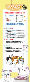 宠物 猫活动