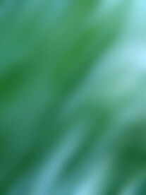 小清新绿色背景底纹