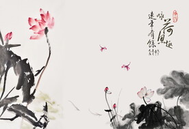 荷花背景