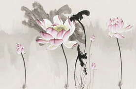 荷花背景墙