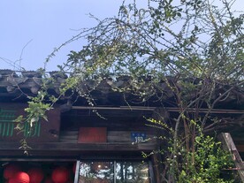 古镇平江路