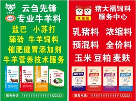 立牌  站牌 海报设计 猪大福