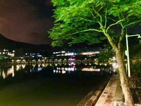 夜景湖边