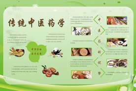 传统中医学