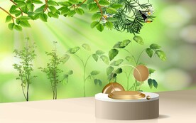 绿植背景墙  