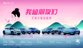 比亚迪背景