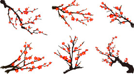 梅花