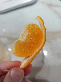 爆汁橙子