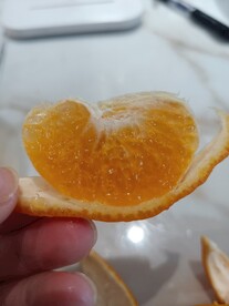 橙子