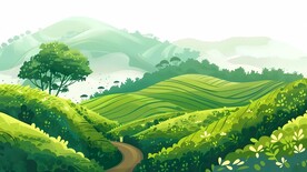 茶园茶山茶田插画背景