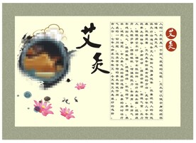 中医保健艾灸