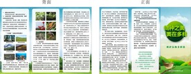 物种之美