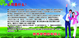 公司是什么