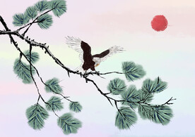 树上的飞鹰