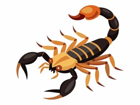 平面风格的蝎子