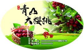 樱桃包装