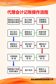 财税办理流程