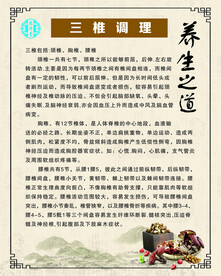 中医 养生 调理