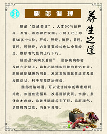 中医 养生 调理