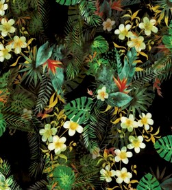 热带植物花