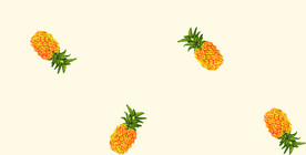 菠萝 水果