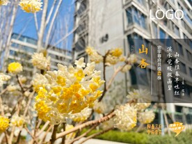 地产创意海报
