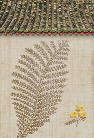 国风工笔国画分层素材 