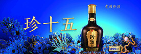 珍酒珍十五  2023点翠 