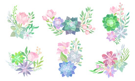 水彩花卉