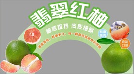 翡翠红柚异型KT板